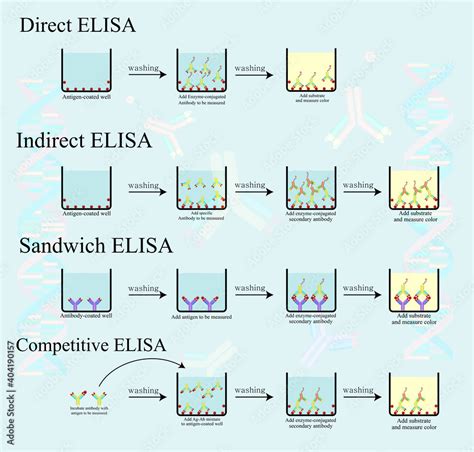 four types of elisa